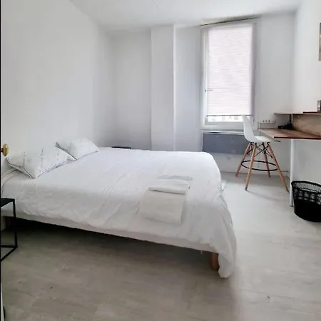 Grand Studio 300m Gare Apartment *